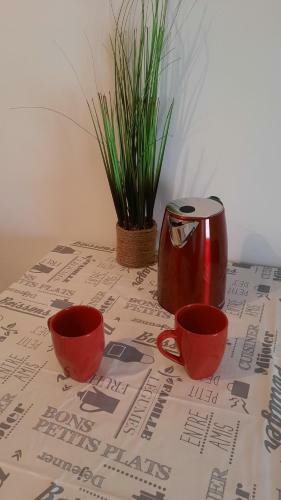 Apartamento Suite 3 Pi�ces Chambre+cuisine+sdb Centre Ville
