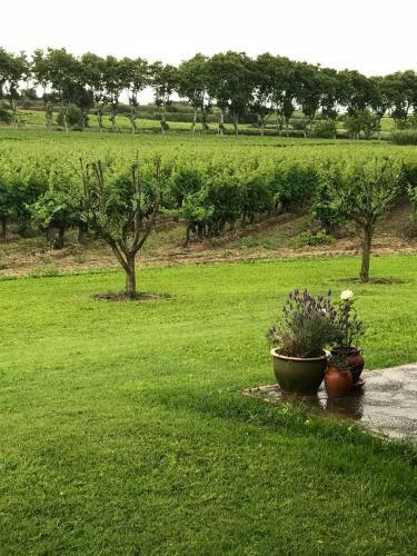 Bed & Breakfast Domaine De Peilhan