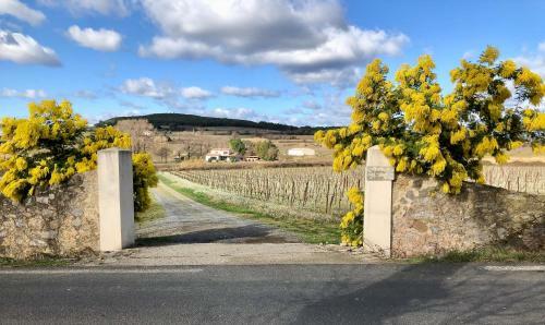 Bed & Breakfast Domaine De Peilhan