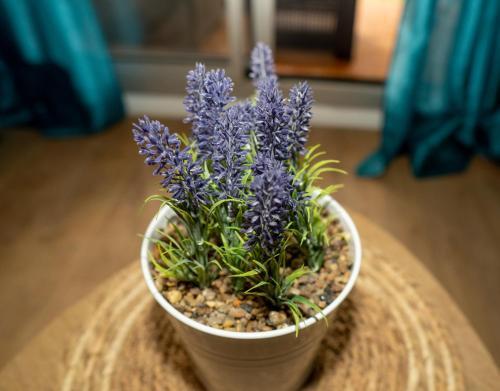 Apartamento Appartement Avec Jardin