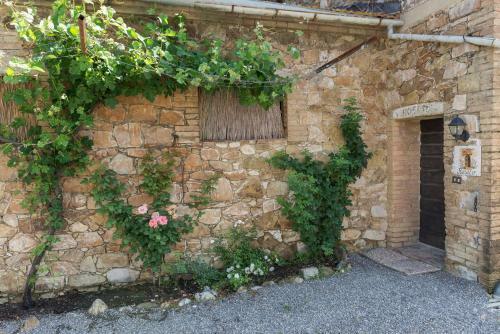 Agroturismo Agriturismo Casa Colsereno