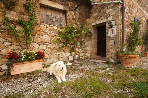 Agroturismo Agriturismo Casa Colsereno