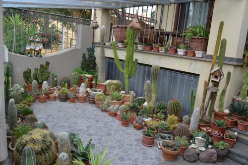 Hostal Affittacamere Acquamarina