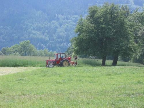 Agroturismo Wachahof