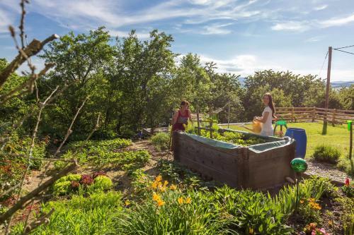 Agroturismo Wachahof
