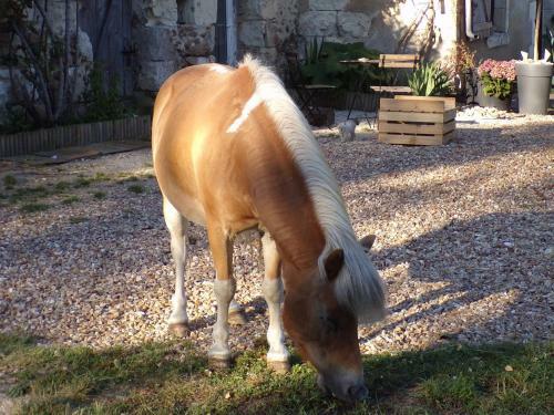 Bed & Breakfast Les Chambres Du Vau Profond