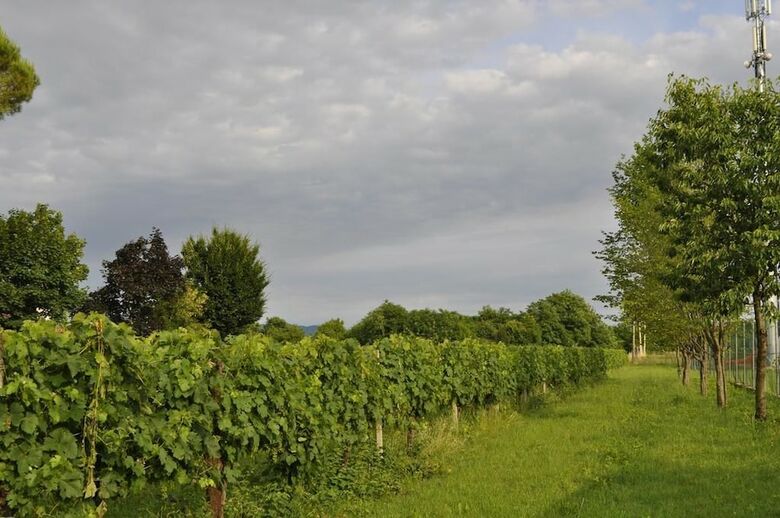 Agroturismo La Casa Griunit
