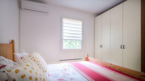 Villa Vila Camelia