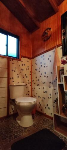 Apartamento Domo Vive Pellaifa