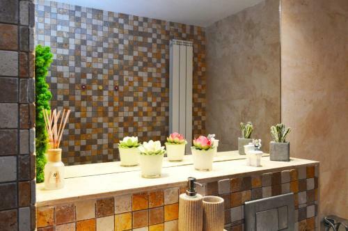 City Park Apartment