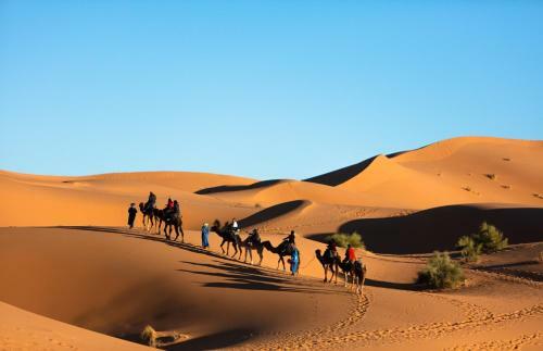 Shooting Stars Luxury Desert Camp