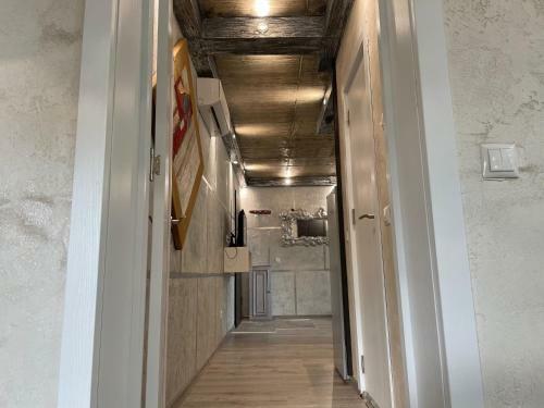 Sten-mary Apartament Vitosha