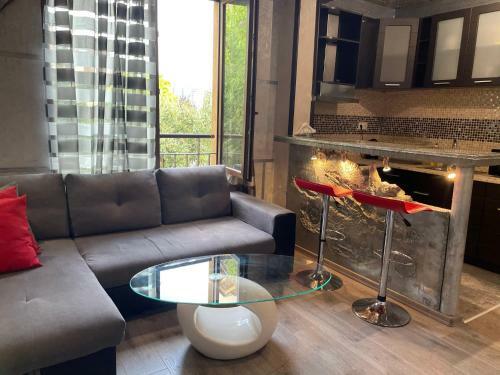 Sten-mary Apartament Vitosha