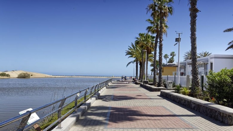 Cocoteros Apartments - Riversun Touristics