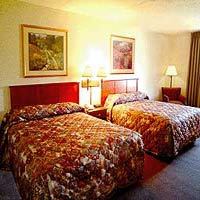 Hotel La Quinta Inn & Suites Ocala