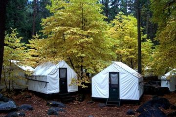 Hotel Curry Village