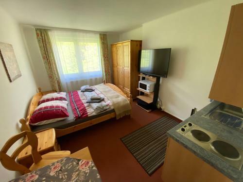 Dachsteinblick Apartment