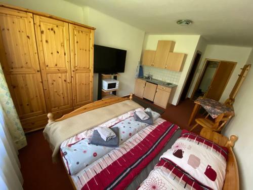 Dachsteinblick Apartment