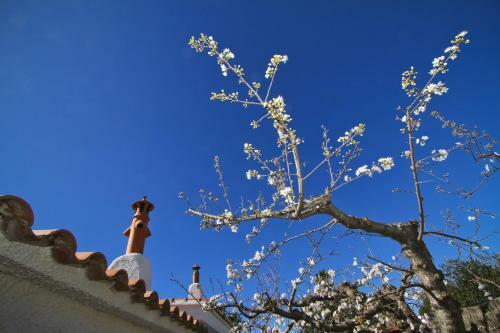 Santorini Villa Planet Costa Dorada