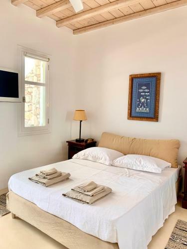 Villa Ramona In Mykonos