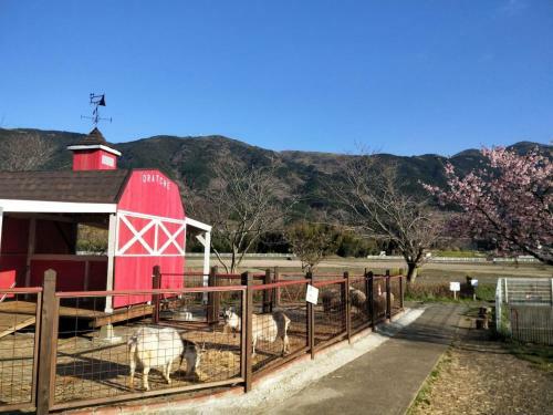 Cottage Hidamari - Vacation Stay 05576v