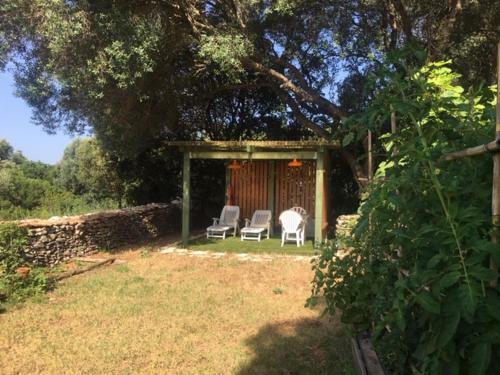 Bonifacio,studio Ind�pendant, Sous Les Oliviers