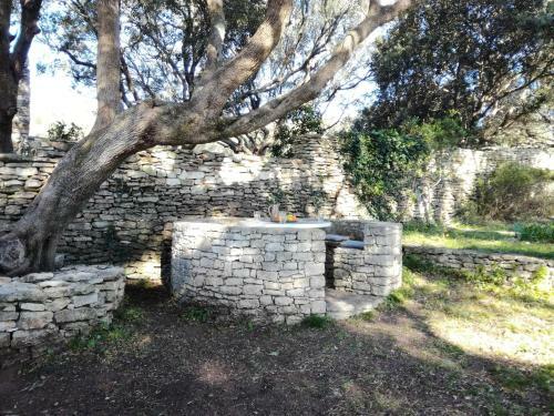 Bonifacio,studio Ind�pendant, Sous Les Oliviers