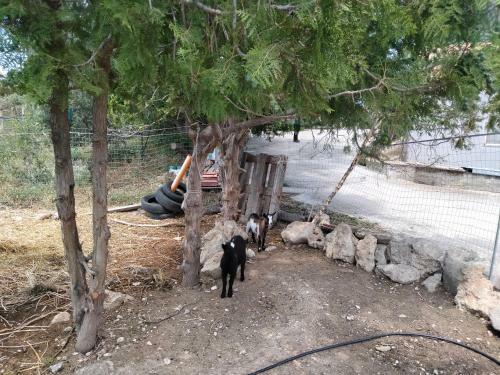 Apartamento Oasi Delle Vigne
