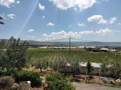 Apartamento Oasi Delle Vigne