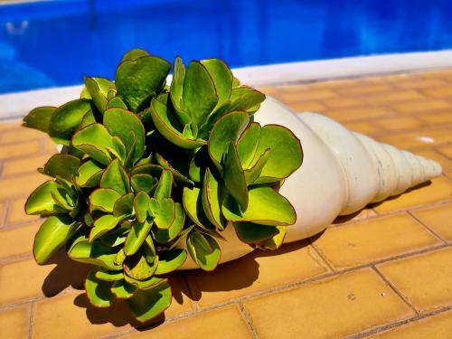 Flh Vilamoura Summer Apartment With Pool