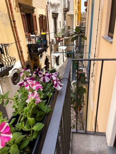B&B Faraglione