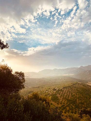 Bed & Breakfast Cortijo Sylvestre