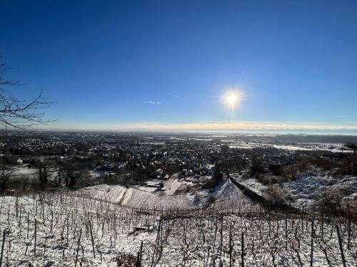 Apartamento Alte Post Altwahnsdorf