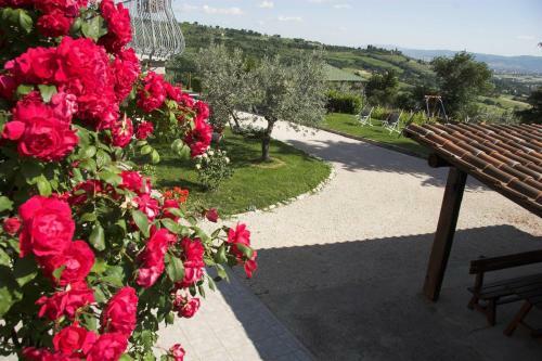 Agroturismo Agriturismo La Rocca Assisi