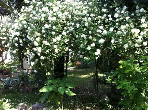 Bed & Breakfast Relais Villa Stella