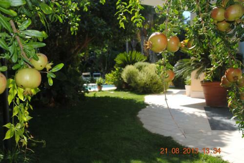 Bed & Breakfast Relais Villa Stella