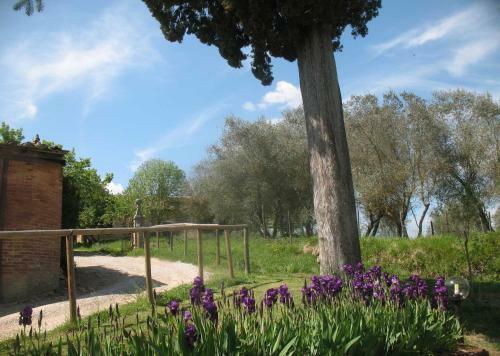 Agroturismo Agriturismo La Torretta
