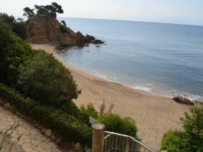 Apartamento Jalisco De Los Monteros