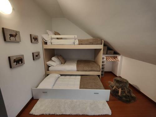 Apartamento La Moleta Canfranc
