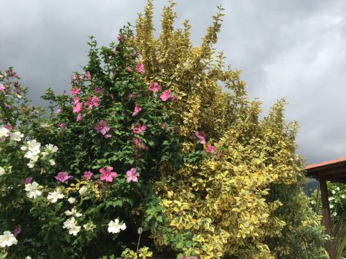 Agroturismo Agriturismo La Rocca Di Perti