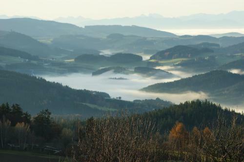 Hotel Bergergut