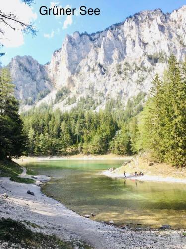 Hostal Alpenpension Gasthof
