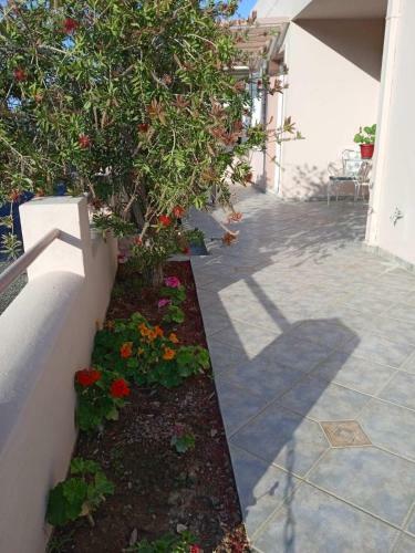 Andros Lighthouse Apartments
