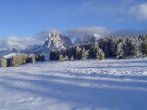 Hotel Alpenroyal