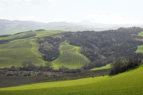 Agroturismo La Tana Del Bianconiglio