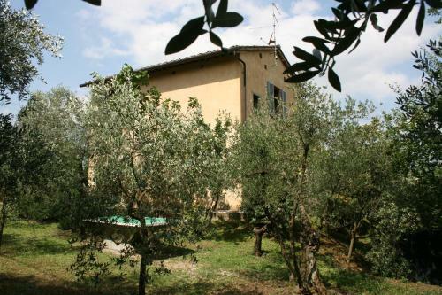 Villa Collina Dei Fiori