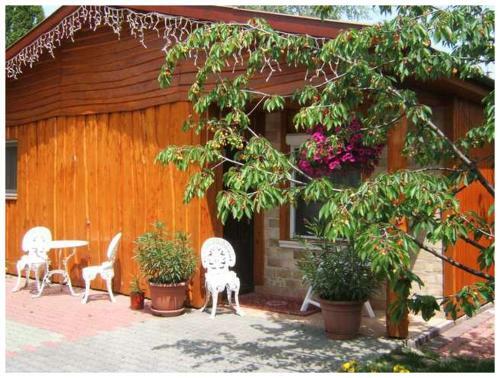 Hostal Angela Hotel