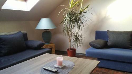 Apartment Smeralova