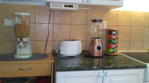Apartment Smeralova