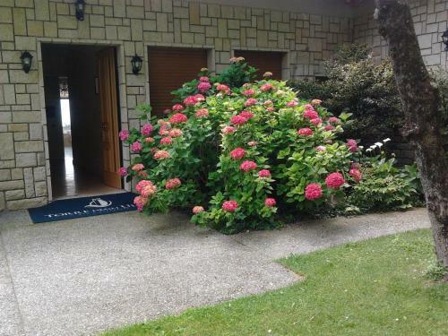 Bed & Breakfast Torre Degli Ulivi